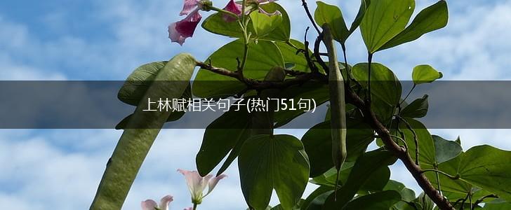 上林赋相关句子(热门51句),第1张
