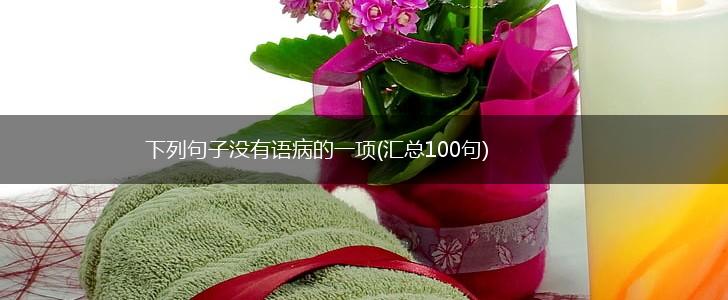 下列句子没有语病的一项(汇总100句),第1张
