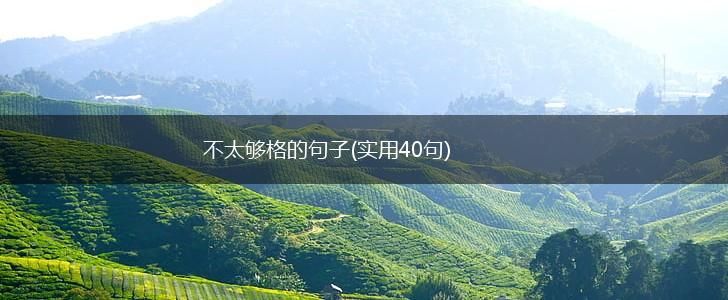 不太够格的句子(实用40句),第1张