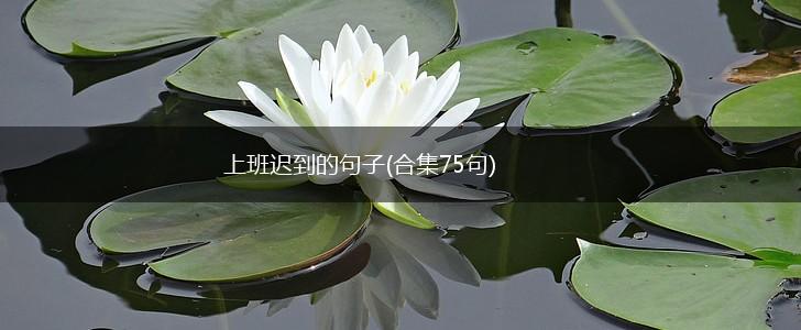 上班迟到的句子(合集75句),第1张