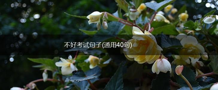 不好考试句子(通用40句),第1张