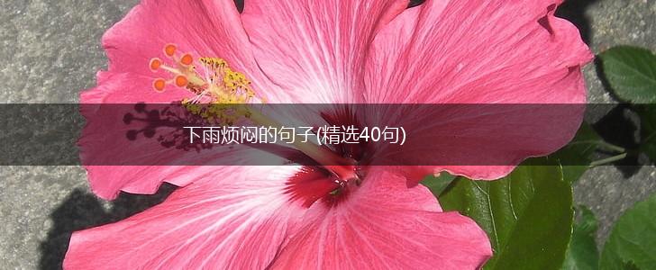 下雨烦闷的句子(精选40句),第1张