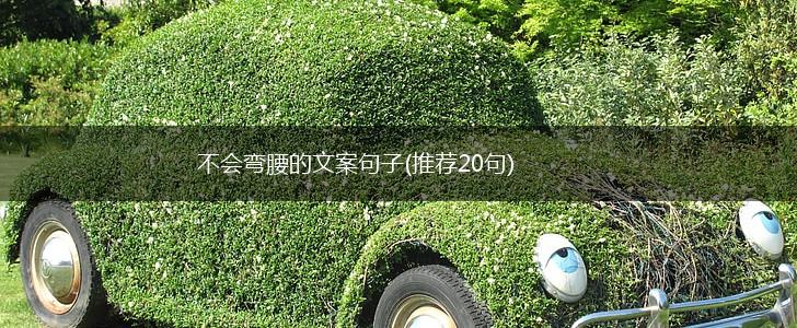 不会弯腰的文案句子(推荐20句),第1张