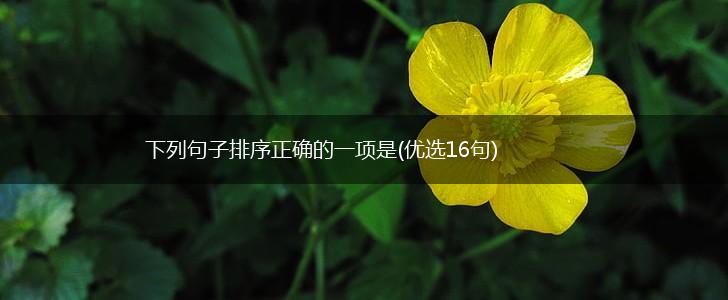 下列句子排序正确的一项是(优选16句),第1张