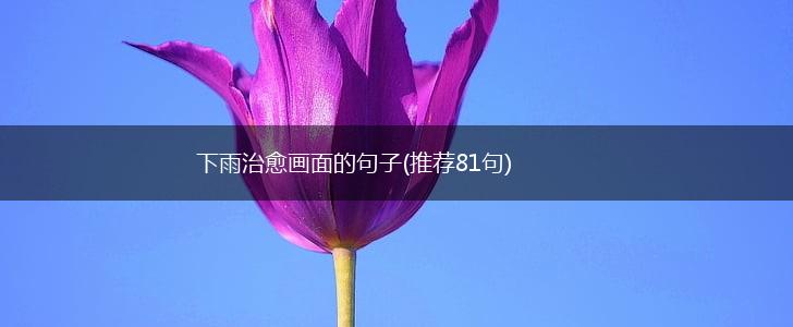 下雨治愈画面的句子(推荐81句),第1张