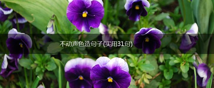 不动声色造句子(实用31句),第1张