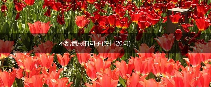 不乱猜忌的句子(热门20句),第1张