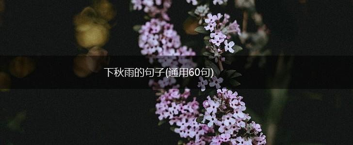 下秋雨的句子(通用60句),第1张