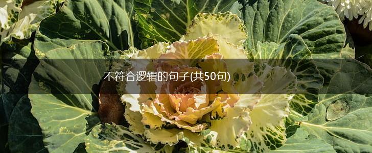 不符合逻辑的句子(共50句),第1张