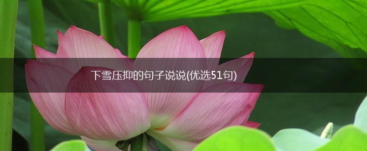 下雪压抑的句子说说(优选51句),第1张