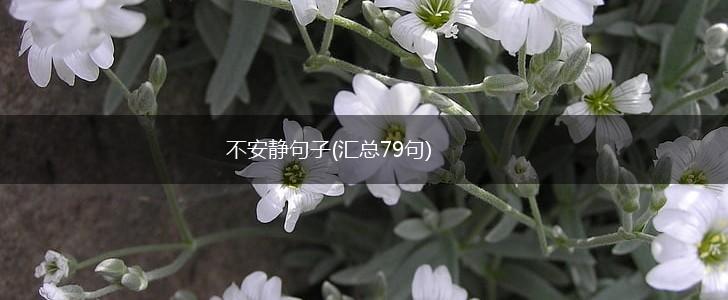 不安静句子(汇总79句),第1张