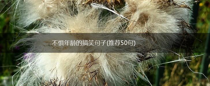 不惧年龄的搞笑句子(推荐50句),第1张