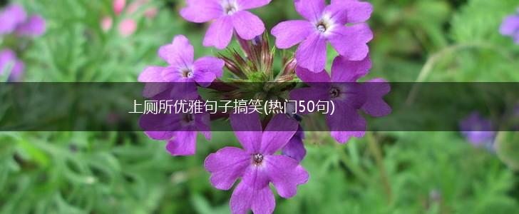 上厕所优雅句子搞笑(热门50句),第1张