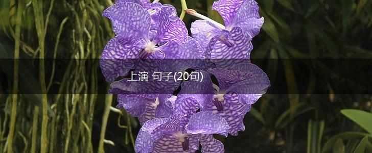 上演 句子(20句),第1张