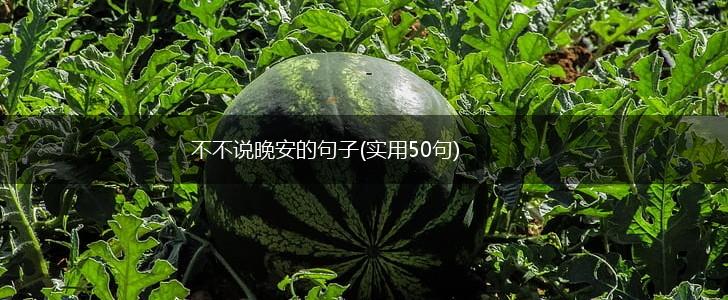不不说晚安的句子(实用50句),第1张