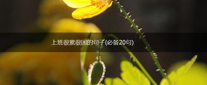上班很累很困的句子(必备20句),第1张