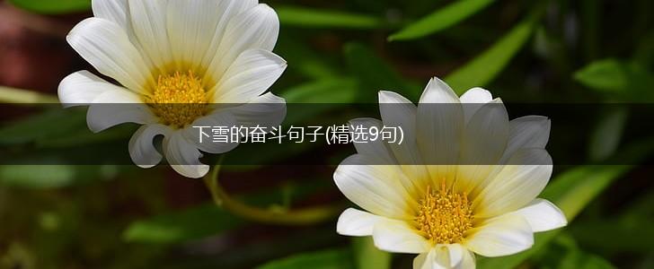 下雪的奋斗句子(精选9句),第1张