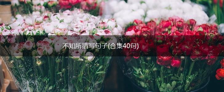 不知所措写句子(合集40句),第1张