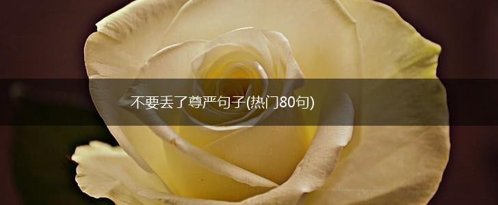 不要丢了尊严句子(热门80句),第1张
