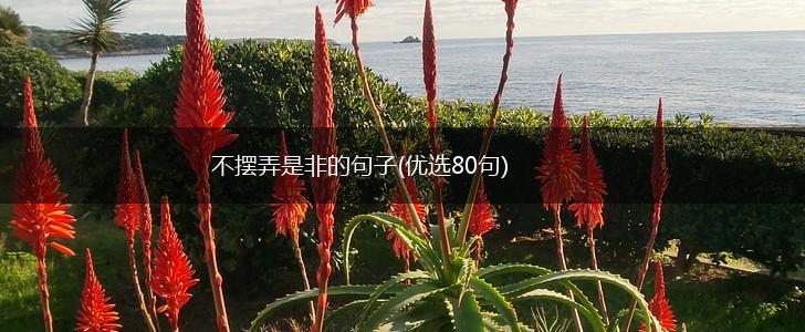 不摆弄是非的句子(优选80句),第1张