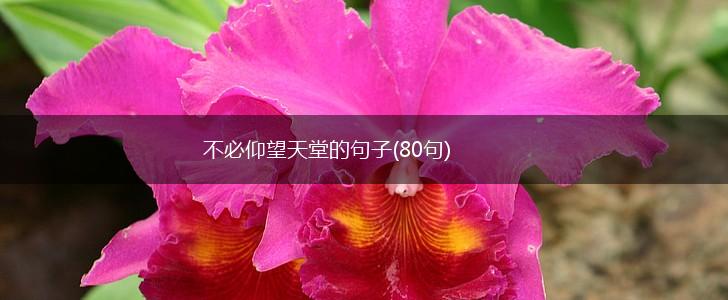 不必仰望天堂的句子(80句),第1张