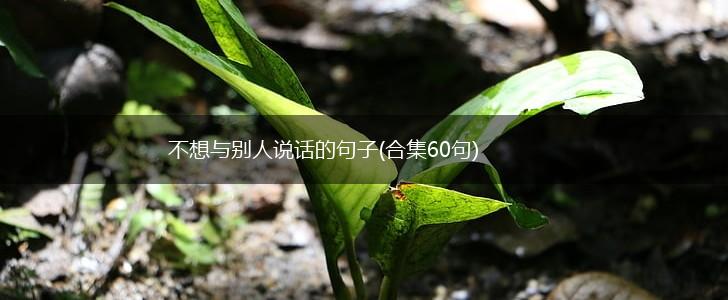 不想与别人说话的句子(合集60句),第1张