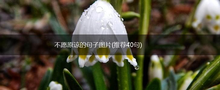 不愿原谅的句子图片(推荐40句),第1张