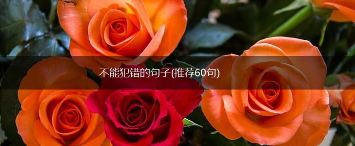 不能犯错的句子(推荐60句),第1张