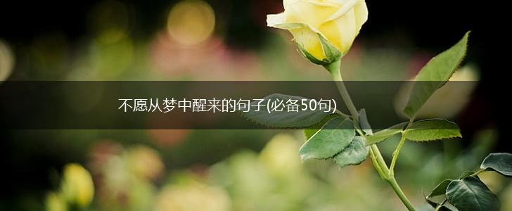 不愿从梦中醒来的句子(必备50句),第1张