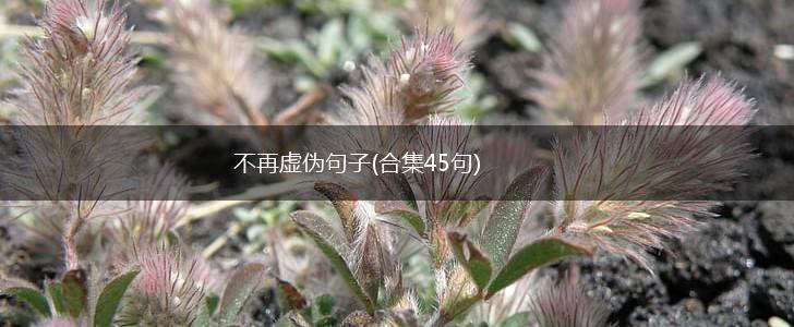 不再虚伪句子(合集45句),第1张