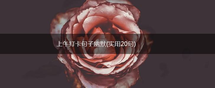 上午打卡句子幽默(实用20句),第1张