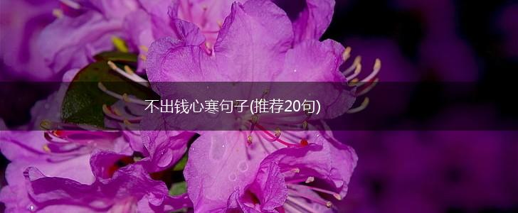 不出钱心寒句子(推荐20句),第1张