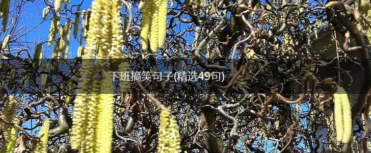 下班搞笑句子(精选49句),第1张