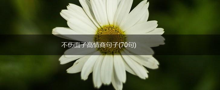 不伤面子高情商句子(70句),第1张