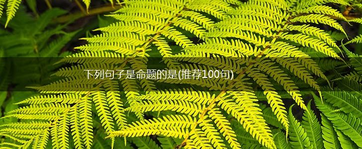 下列句子是命题的是(推荐100句),第1张