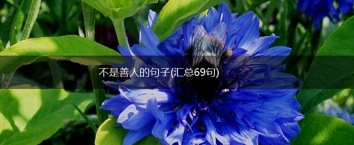 不是善人的句子(汇总69句),第1张