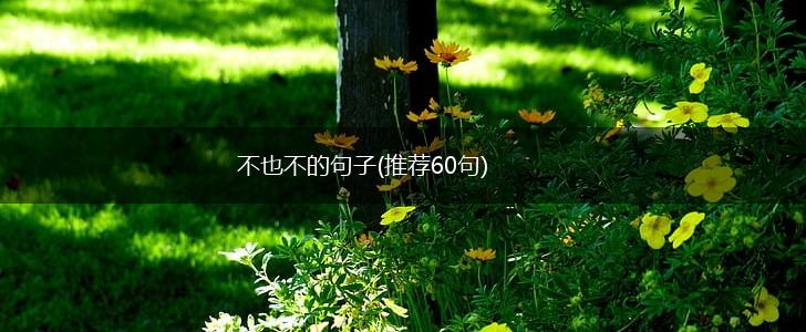 不也不的句子(推荐60句),第1张