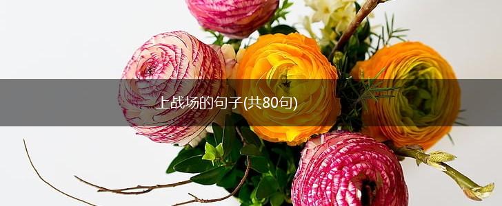 上战场的句子(共80句),第1张