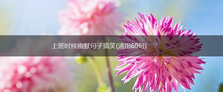 上班时候幽默句子搞笑(通用60句),第1张