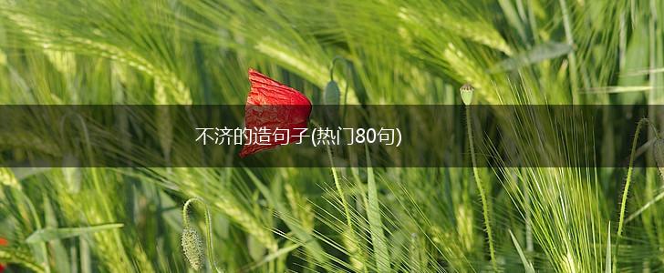 不济的造句子(热门80句),第1张