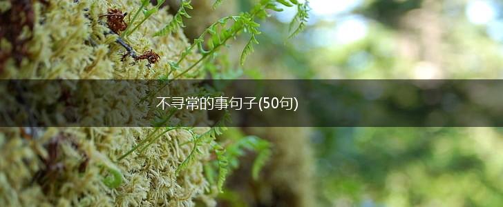 不寻常的事句子(50句),第1张