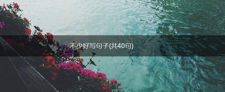 不少好写句子(共40句),第1张