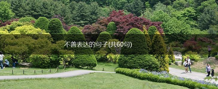 不善表达的句子(共60句),第1张
