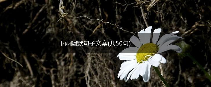 下雨幽默句子文案(共50句),第1张