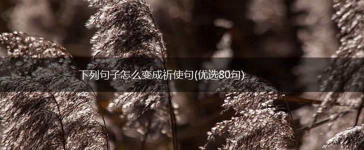 下列句子怎么变成祈使句(优选80句),第1张