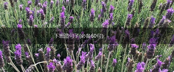 下班造句子(必备60句),第1张