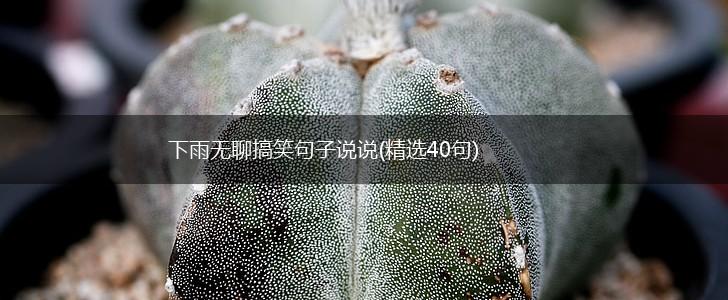 下雨无聊搞笑句子说说(精选40句),第1张