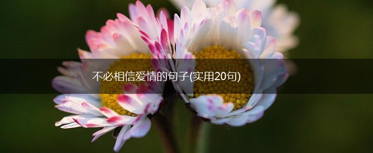不必相信爱情的句子(实用20句),第1张