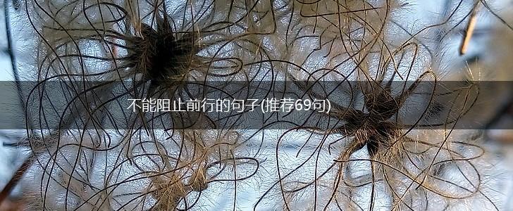 不能阻止前行的句子(推荐69句),第1张