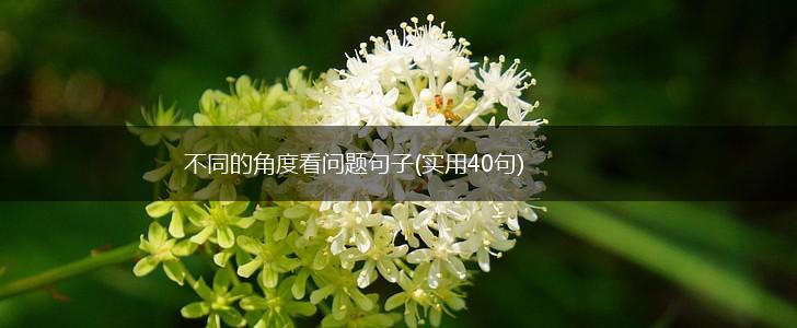 不同的角度看问题句子(实用40句),第1张